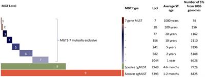 Genomic diversity of Salmonella enterica serovar Typhimurium isolated from chicken processing facilities in New South Wales, Australia